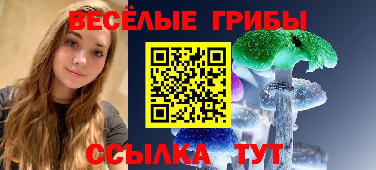 Галлюциногенные грибы Psilocybe  Вход с VPN  Асбест  Псилоцибиновые грибы Magic Shrooms 